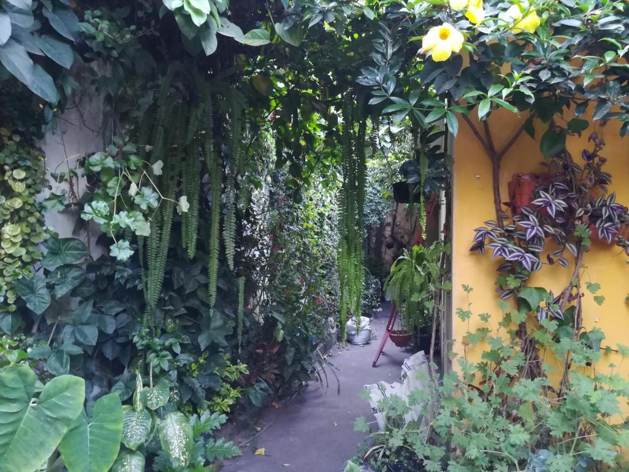 Casa Moka Bed & Breakfast Antigua Exterior foto